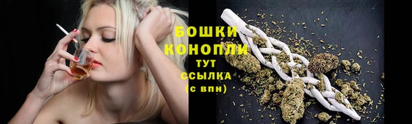 хмурый Лиски