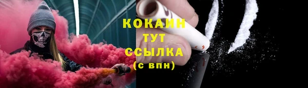 хмурый Лиски